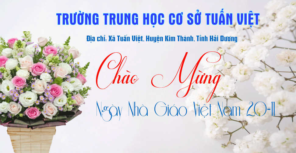 Trường THCS Tuấn Việt