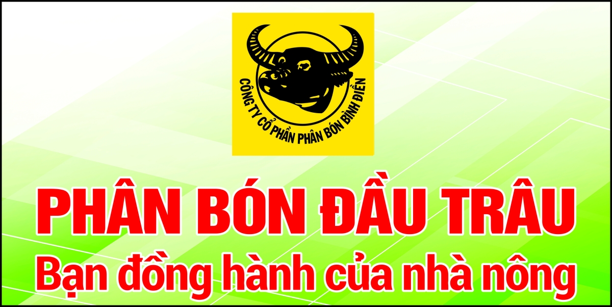 Công ty cổ phần phân bón Bình Điền