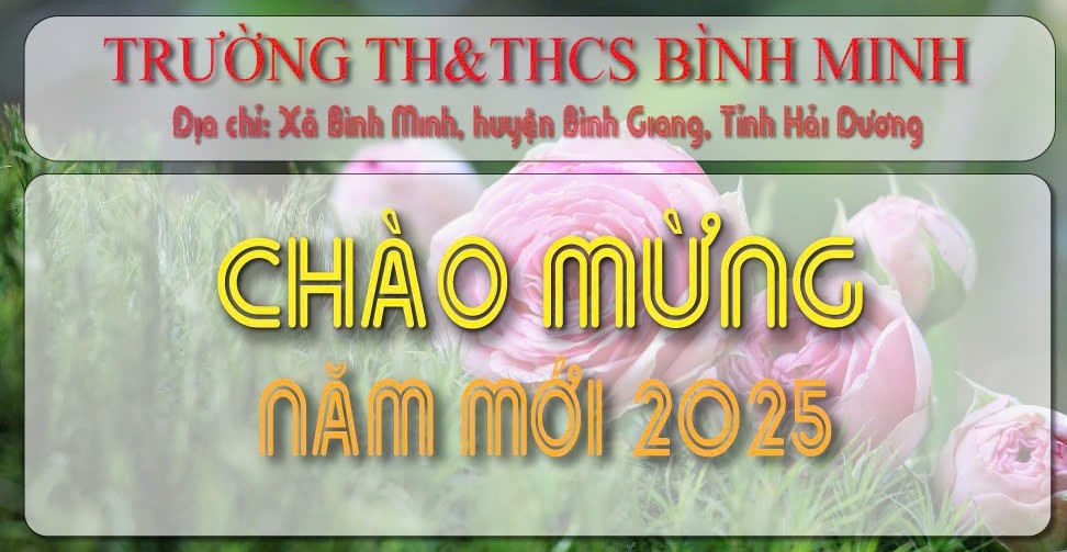 Trường TH & THCS Bình Minh