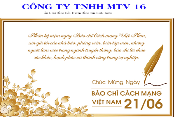 Công ty TNHH MTV 16 (Binh đoàn 16)